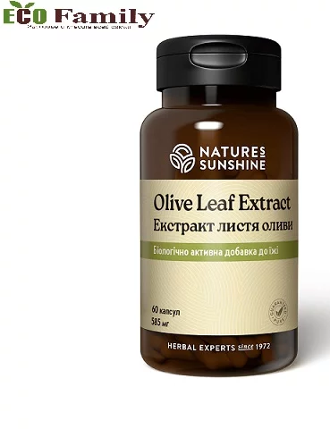 Листя оливи екстракт