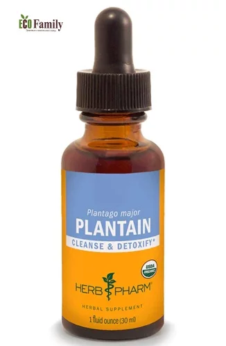 Подорожник, рідкий естракт